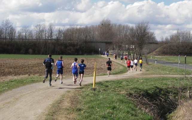 Kurvenlauf Kurvenlauf