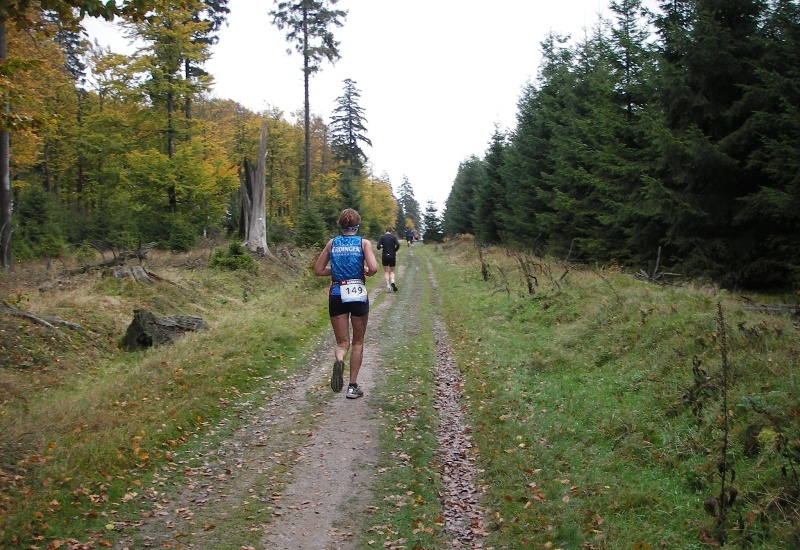 Waldweg