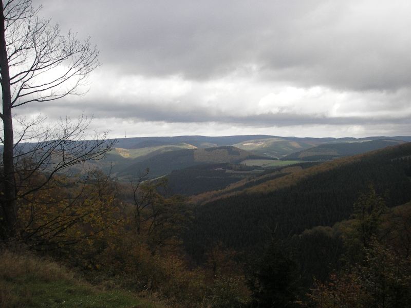 Panorama