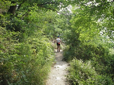 Single Trail