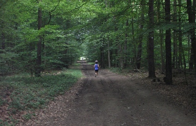 Waldweg