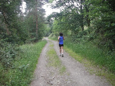 Waldweg