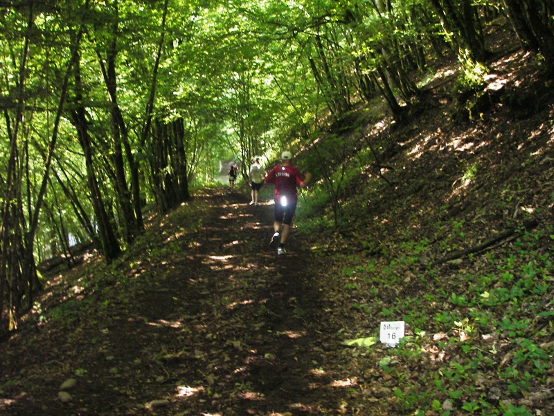 Wald