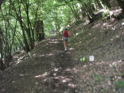 km16