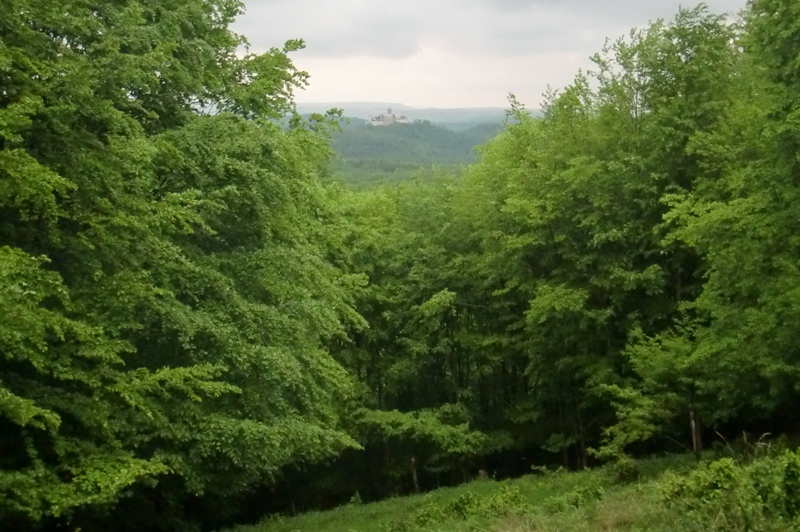 Wartburgblick