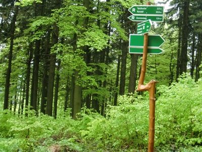 Downhill