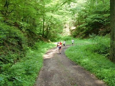 km13